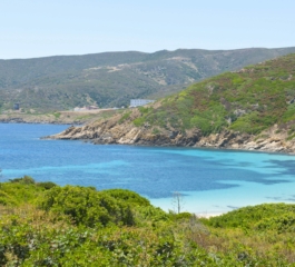 Parque Nacional Asinara, uma maravilha incontaminada na Sardenha