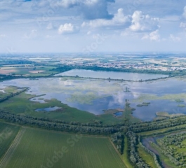 O Parque Delta do Pó, entre história e natureza, um lugar único na Itália