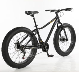 Tudo sobre fat bikes, bicicletas com rodas grandes para usar na neve e na areia