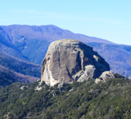 O Parque Nacional Aspromonte, vamos descobrir esta joia na Calábria